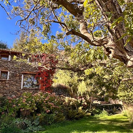 La Casa Del Nogal Βίλα Guejar-Sierra Εξωτερικό φωτογραφία