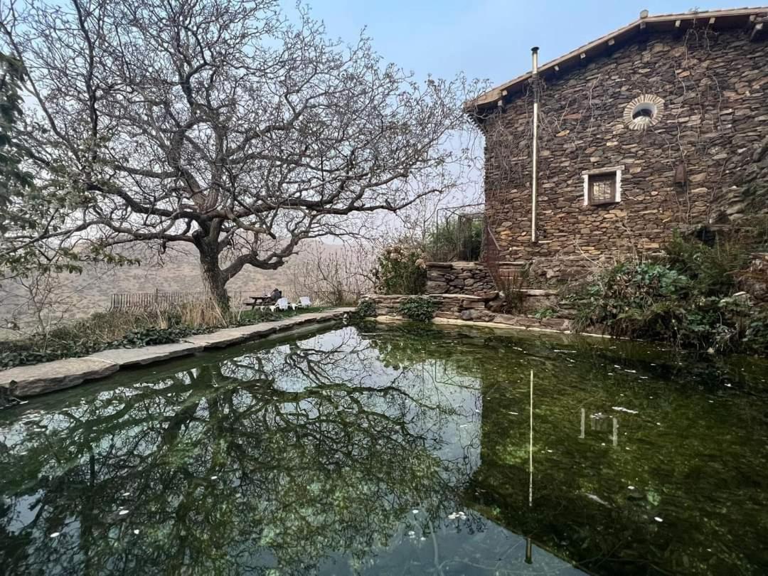 La Casa Del Nogal Βίλα Guejar-Sierra Εξωτερικό φωτογραφία