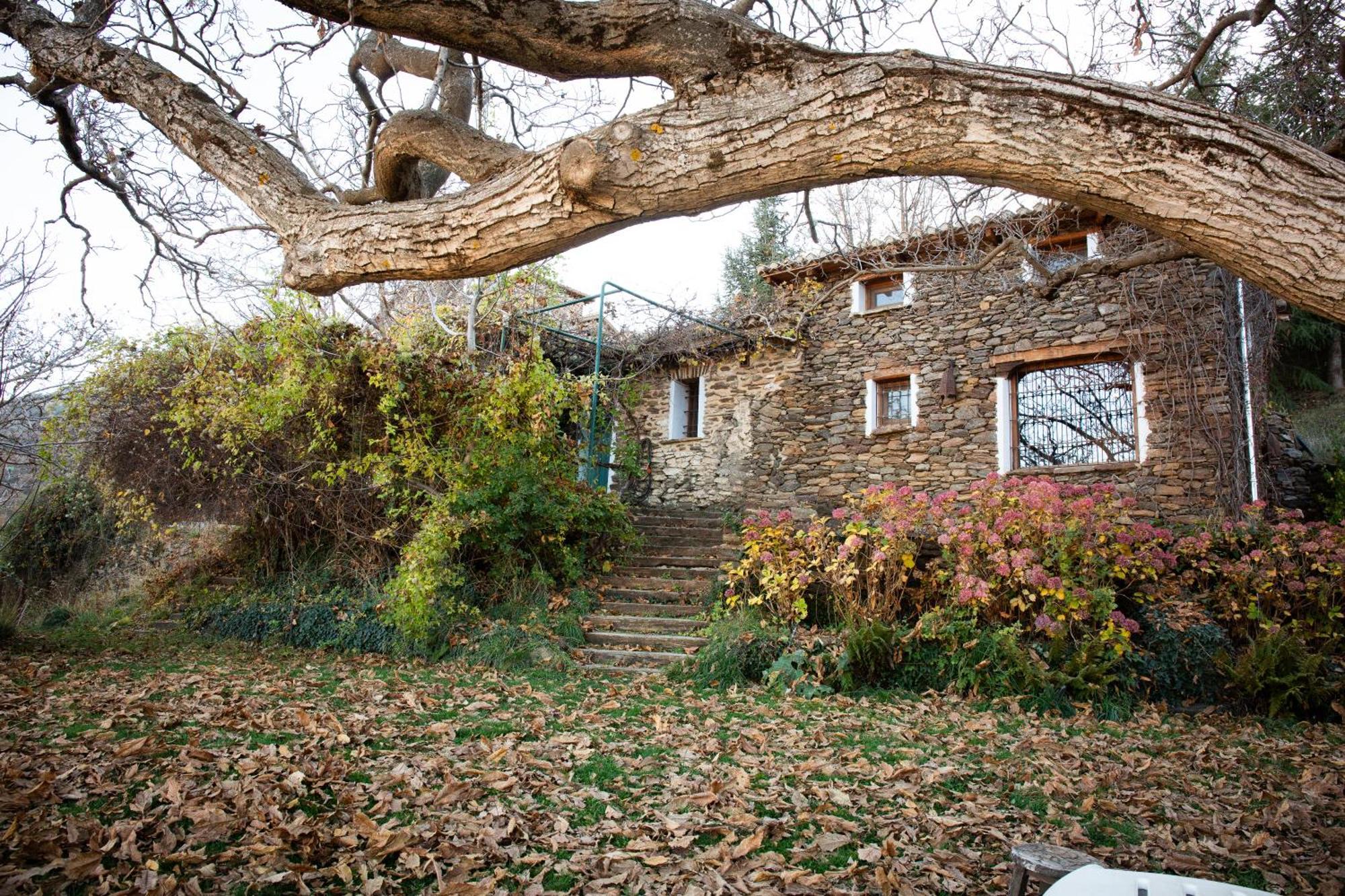 La Casa Del Nogal Βίλα Guejar-Sierra Εξωτερικό φωτογραφία